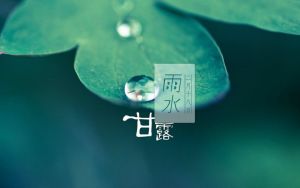 雨水.jpg